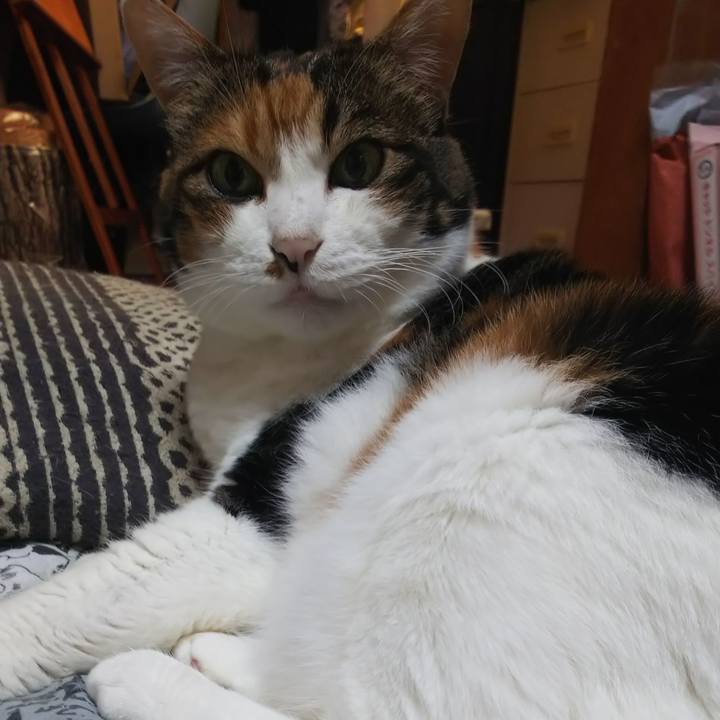 Dfff1d91 7a2c 4c72 bc0a df6270f32ae8 1566084757411