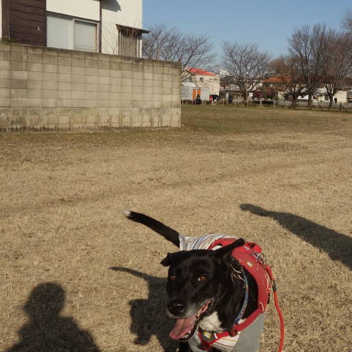 Dfff24c4 c0d3 493b b038 c4b85c081d37 1677721030664