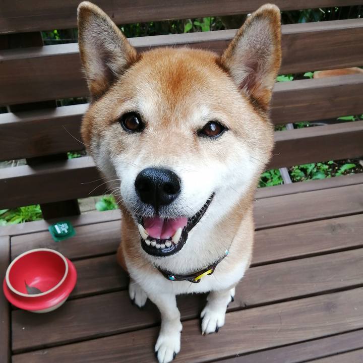 Dfff269c 6c28 4a6d 960b 52d32a2be828 1629597233517