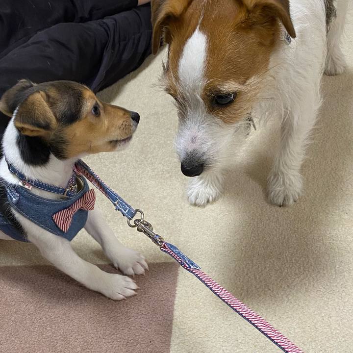 Dfff2f7a 1292 421c 835d ee588f871323 1742823814997