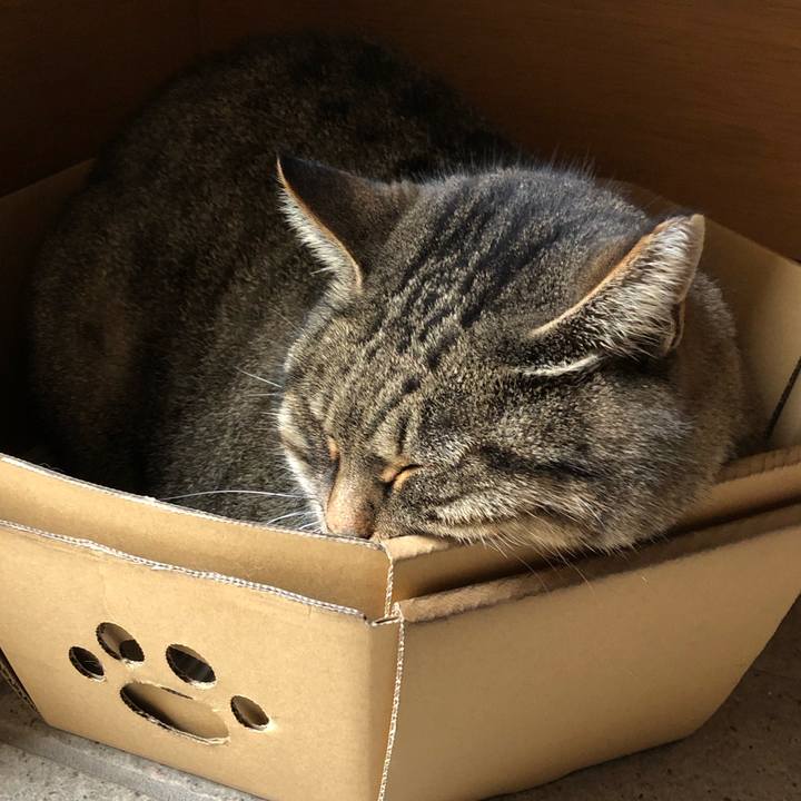 Dfff3ba5 ef9c 47fc 84d8 536e088d1d0a 1575261439689