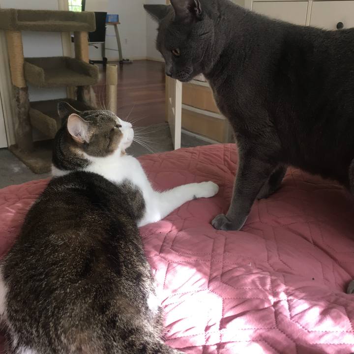 Dfff509f 7bb1 482f 88bb a1e72000f773 1689473792935