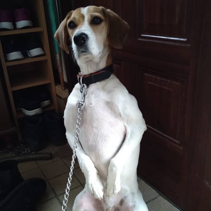 Dfff564c a8c1 492c 9cd5 f3f3d6d992bc 1636375985087