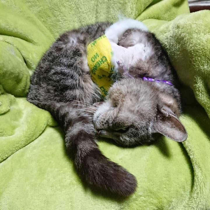 Dfffe775 e947 429c a0d3 f713d2c3db83 1586434459593