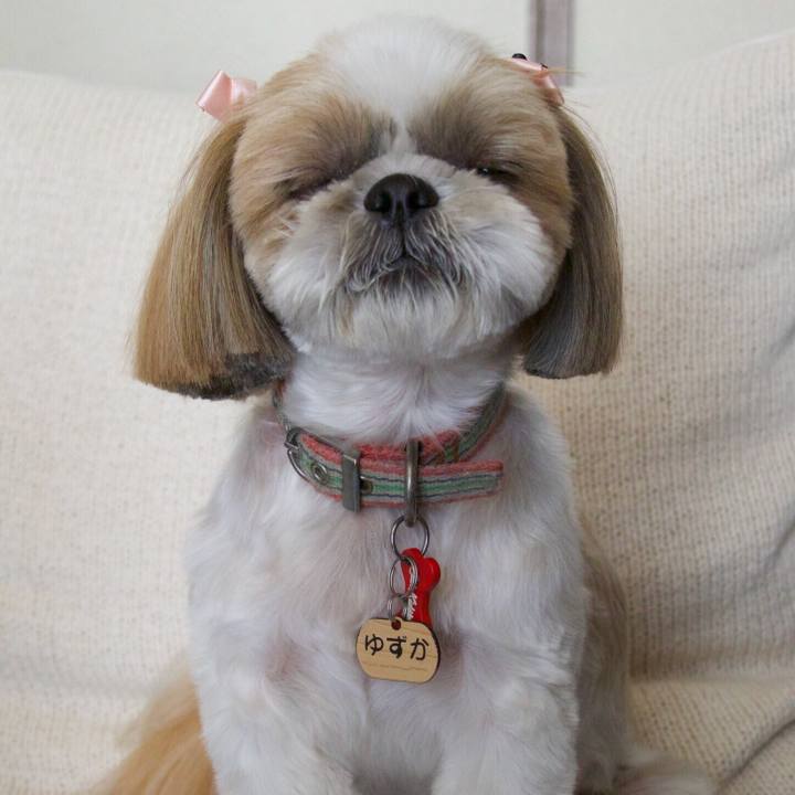 E0000bc5 12a1 4b4a 8ee7 bd8b27b46471 1508387389553