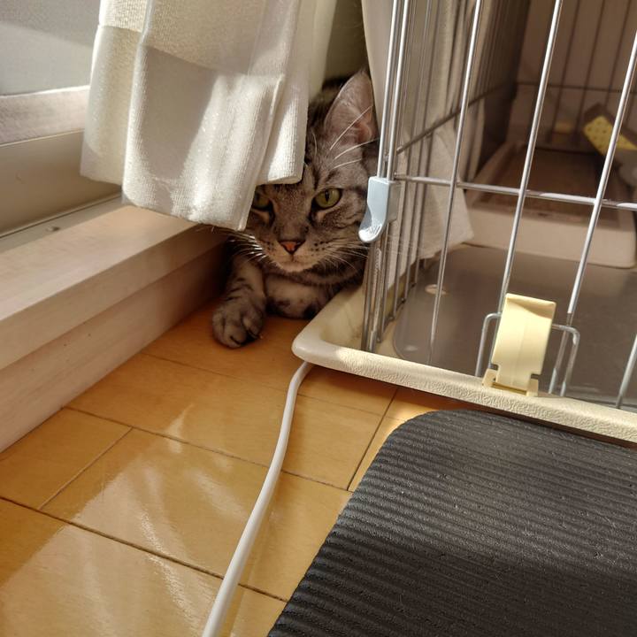 E0002a99 a128 4a9a be10 dfee6d81c853 1612502253231