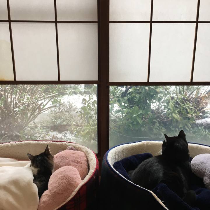 E0003611 7223 4b44 8d08 bb6a13bbe938 1521600055585