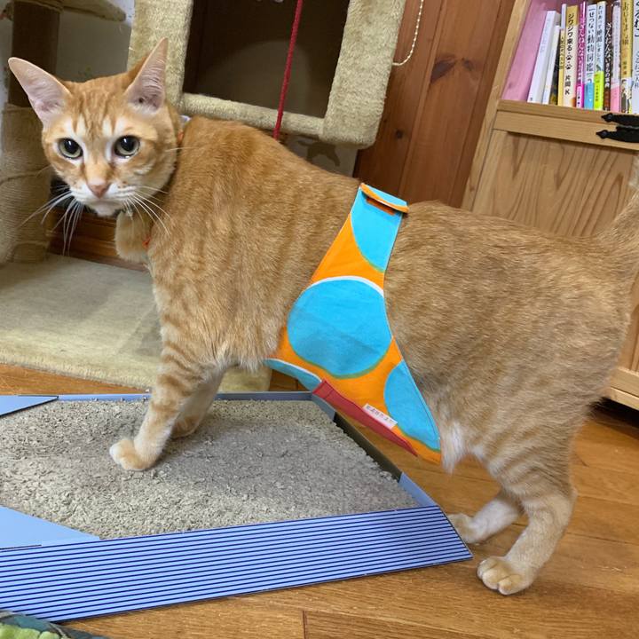 E000414b 0f93 4c37 88ae c7e468e8b860 1555990121083