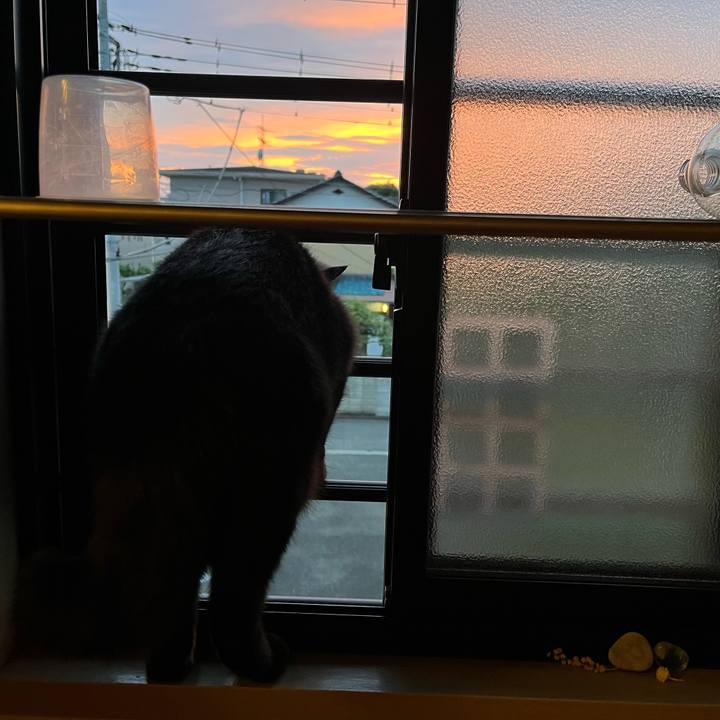 E0007b89 32dc 4525 bb96 9ca79287b119 1749386114703