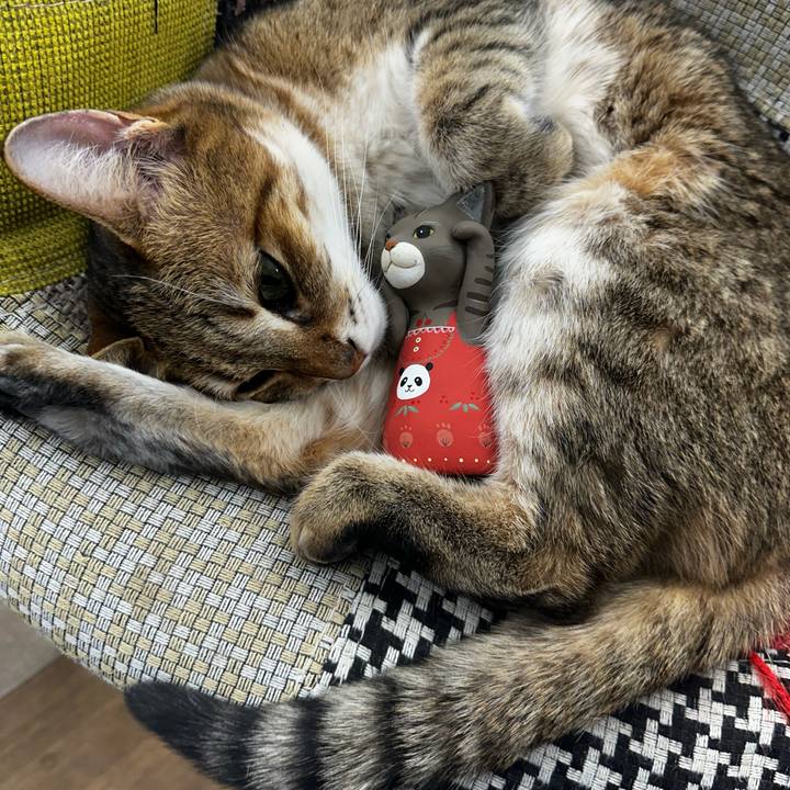 E000a1f3 fe31 4fac 8f67 97da2f82282f 1768907064600