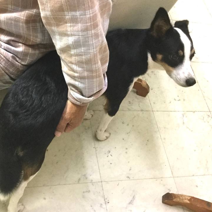 E000e666 4c28 4659 8913 26b629724dad 1573135401479