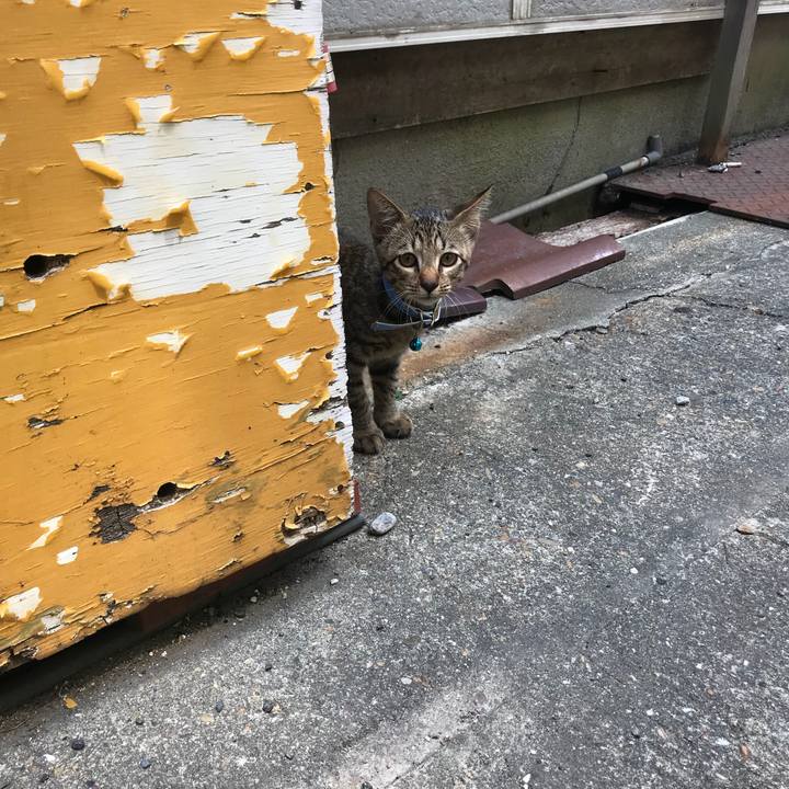 E000f587 45ef 495e ad06 05660f33d08a 1539157186442