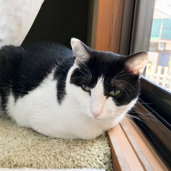 E0011032 3b37 4a26 a219 60206b427a06 1522894815337