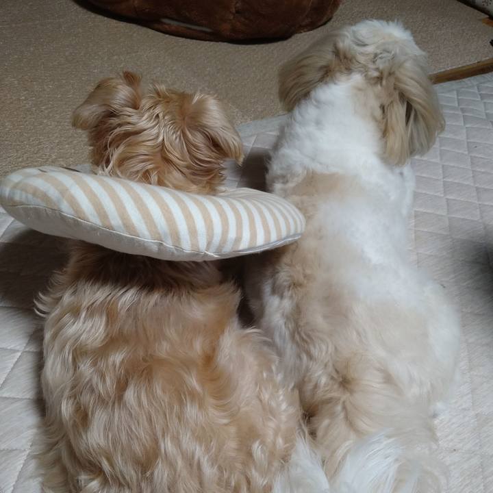 E00148f6 4ad0 44aa 8884 6499b0f1377c 1659912219188