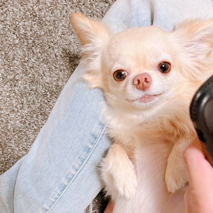 E0016e88 1101 45c5 8c41 2db694c8a3cf 1652528199679