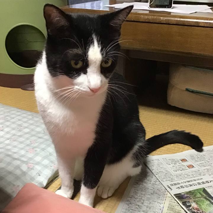 E001793e ba7a 45ec 9231 e90dcd1aaeca 1688216650662