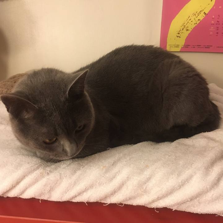 E00199b8 16fb 4d38 958f 8ab4ea93a1a3 1618020182880