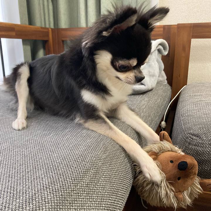 E001bb67 f17b 4727 809d 432e3f2884f3 1628826879647