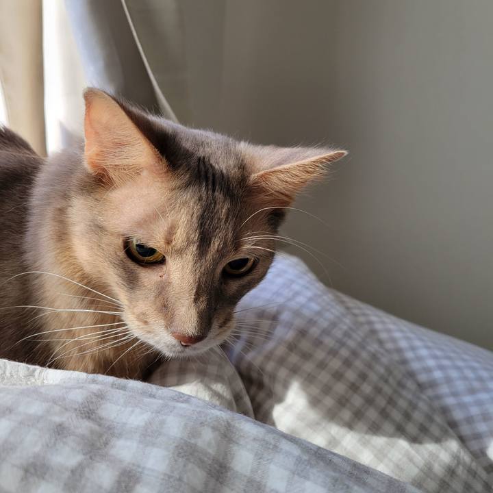 E001bc60 053e 4111 8e0a 1eca1da47fcc 1636331136431