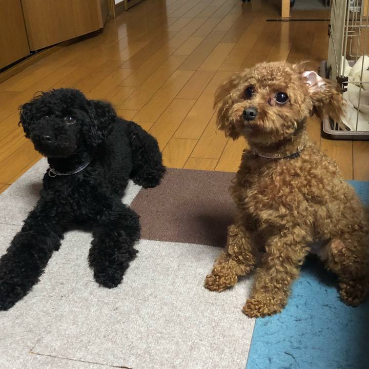 E001e5d3 5d81 428d 93a1 ea037233c369 1523571732251