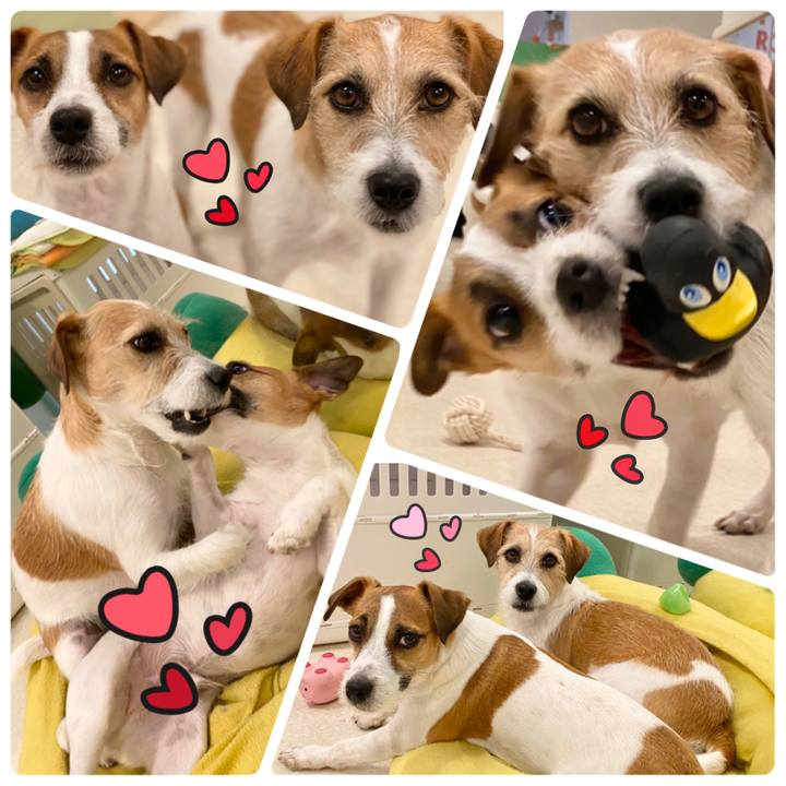 E0020c7d 7bb1 4255 afa2 0cf0799c9bd6 1580612974188