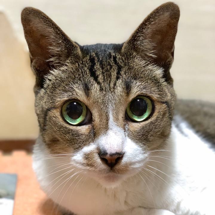 E0020ed2 8c5a 4ffc b94d 0505565ec326 1599866196322