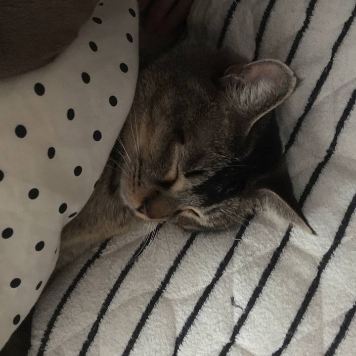 E002540c 74ca 4609 8c62 c2add59a4ce4 1521014335263