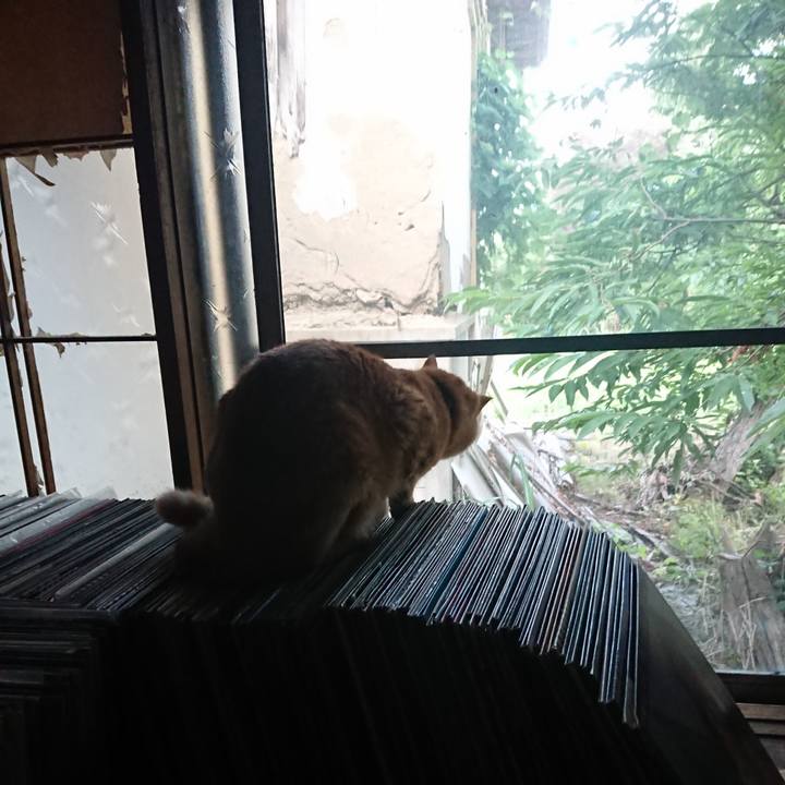 E002a572 1527 489f 8769 015759db1316 1659042083299