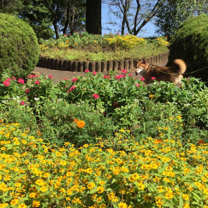 E002b3d9 7e5b 4441 af57 347c93fc64cb 1601275574048