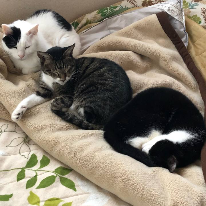 E002f2db 1c4e 4b24 8a21 75400adadf6a 1545472113196