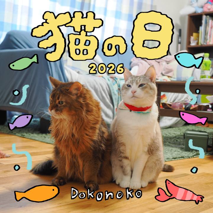 E003406f 01e0 4bab 8eb1 3fc3f8f0d8bd 1771767365229