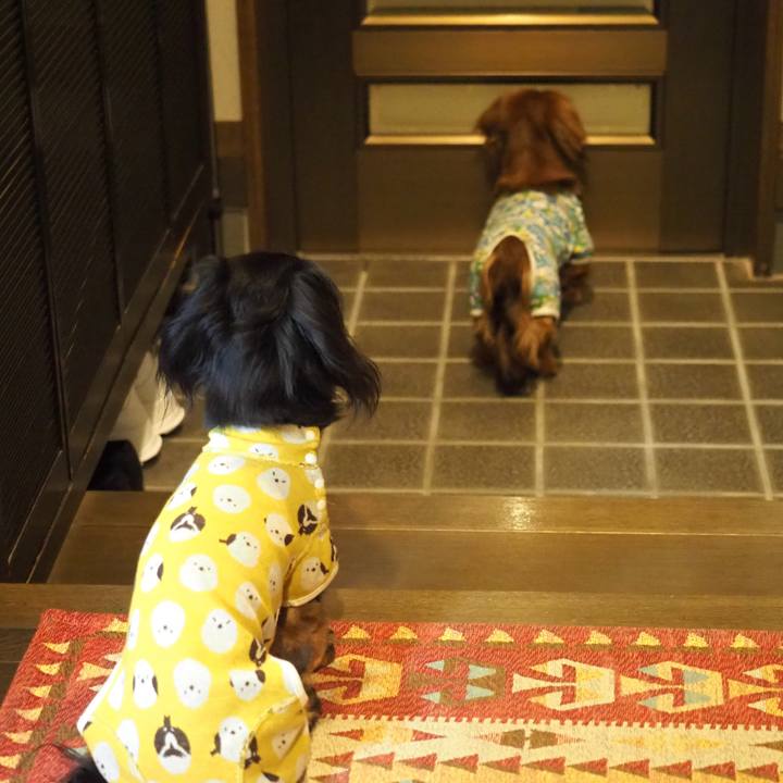 E0034552 577a 47a4 b596 5a000131c800 1713278606443