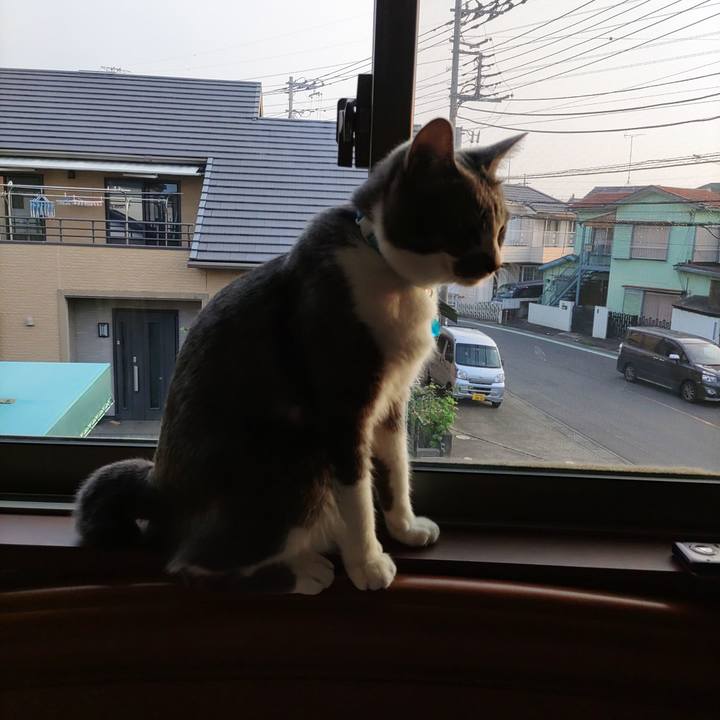 E00352c8 9b3c 4003 9318 317aafbd3ff3 1660512441041