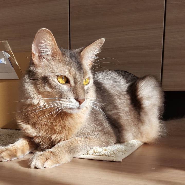 E0037342 75ec 4868 8ab3 13fa20358d21 1576816803150