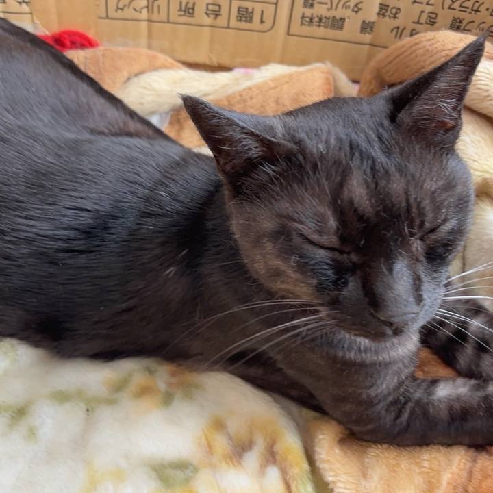 E00396b6 0c68 473a bc13 b7f9aaea189b 1754019167719