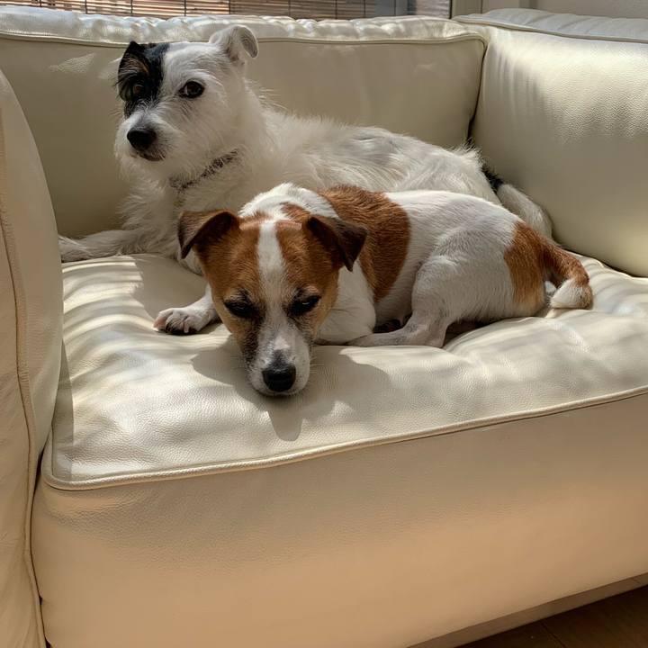 E003cd97 fc42 4c69 8bf8 b6709dbcc616 1568172683252