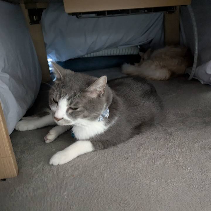 E00405f1 73b5 4b06 952f f92e2a44ea7d 1767314669122