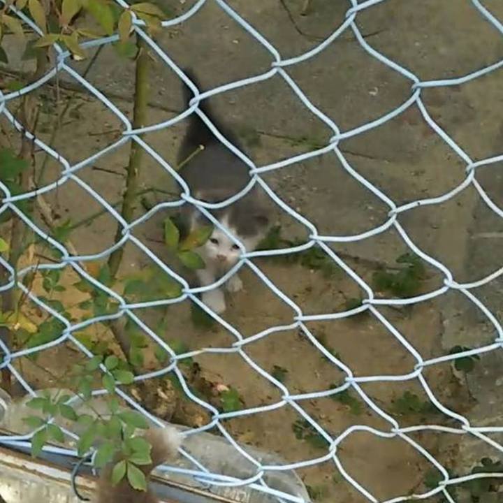 E0041ca9 ef1b 449d b4ae 8fcb12291d21 1593166797545