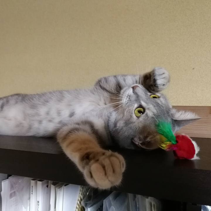 E0043082 e69e 46a8 8b30 55f940a933c8 1526347527099