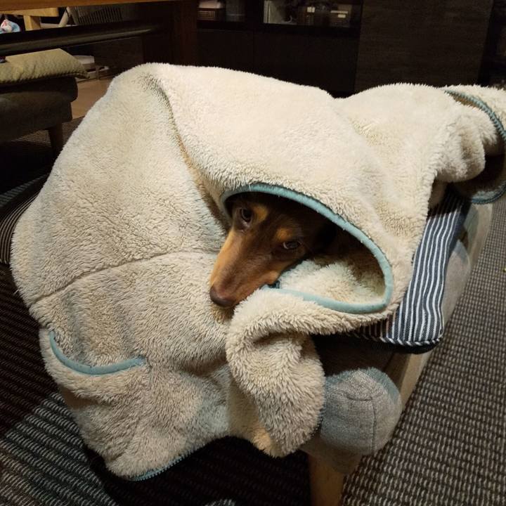 E00452d2 49fc 47bb 8334 0741a38dd24b 1549029891025