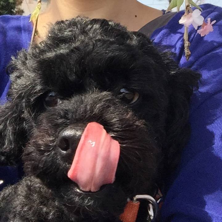 E0045a58 4437 48b2 878f 2101e57a677f 1522515141842