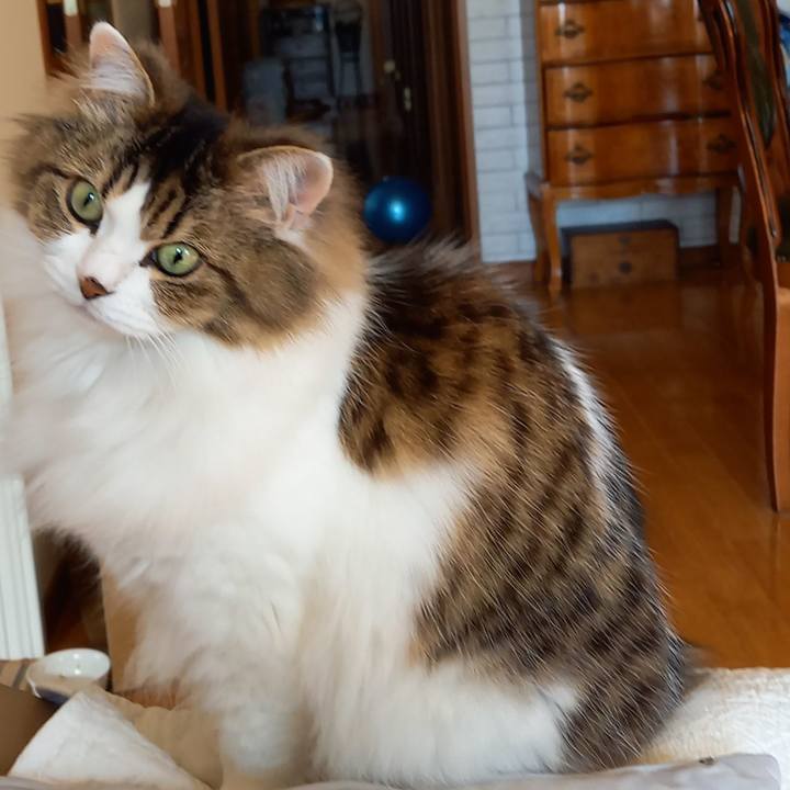 E00463af d028 46a9 ad23 bb1359344f8f 1611285666774