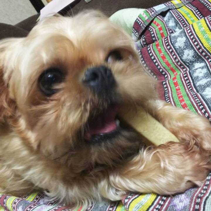 E00485be ecb8 42a5 a9d6 fda722542eef 1509273303586