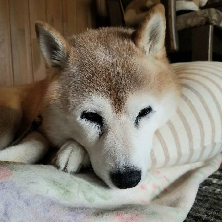 E0049fd5 525a 439e 9eb2 62e73a980709 1728433396393