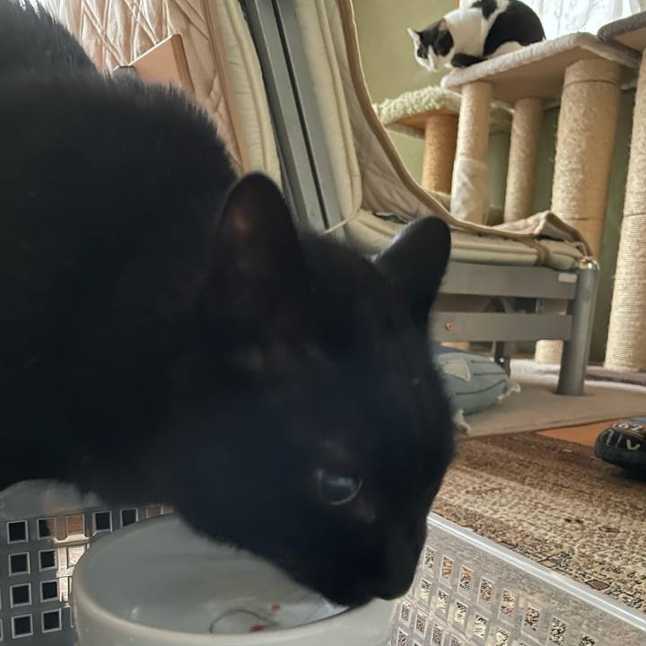 E004b85e edef 41d6 a509 3c02d0eb41af 1642904200259