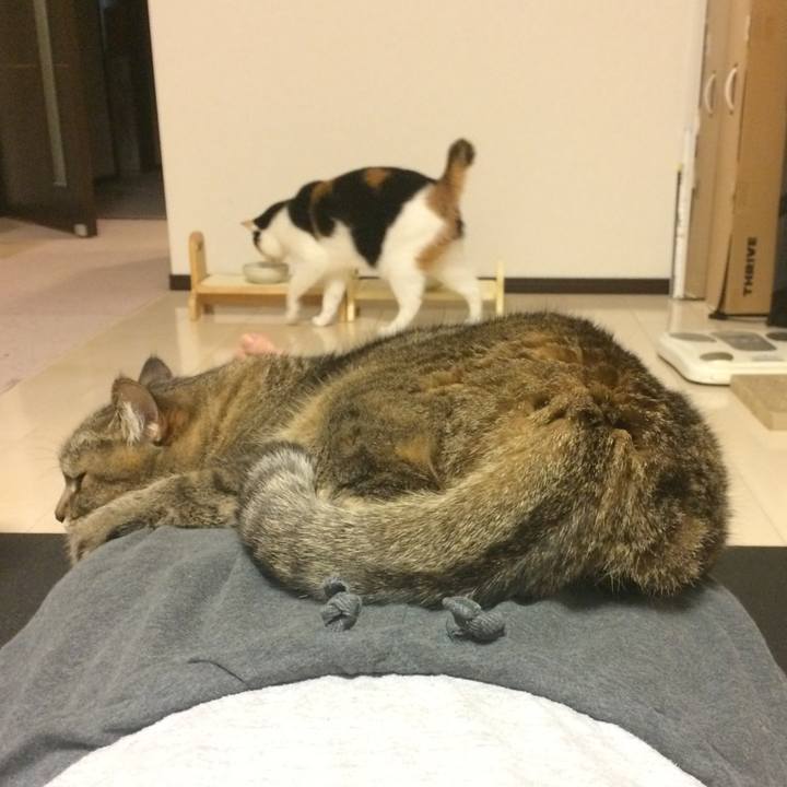 E004ba18 a4be 410f 877a 162e405e3f11 1557325672886