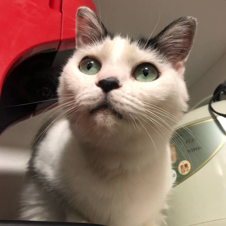 E004c59d 25ae 417c a25f e9673dd0874a 1603668927899