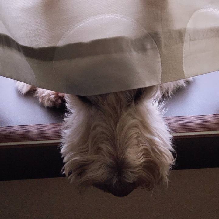 E004d6b8 4682 4020 86d8 05c812bac4c5 1578121874124