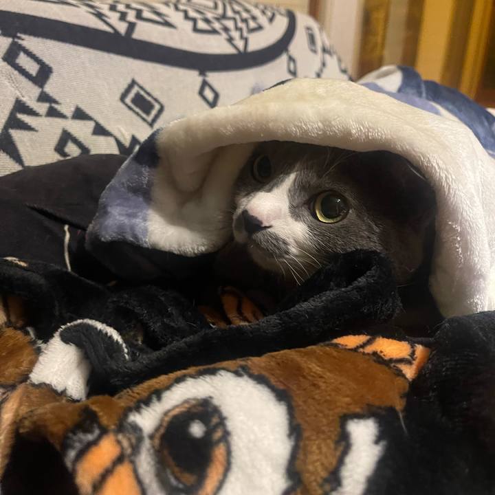 E0051aaa ea90 4be8 9400 d3fe4125e0fc 1736340279916