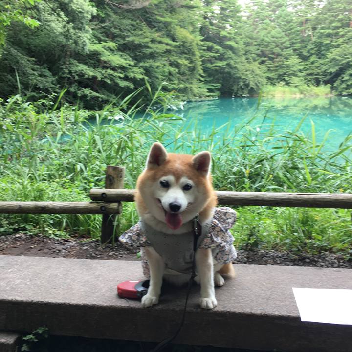 E0052185 f774 40c4 8c63 a743d466f513 1566471583466